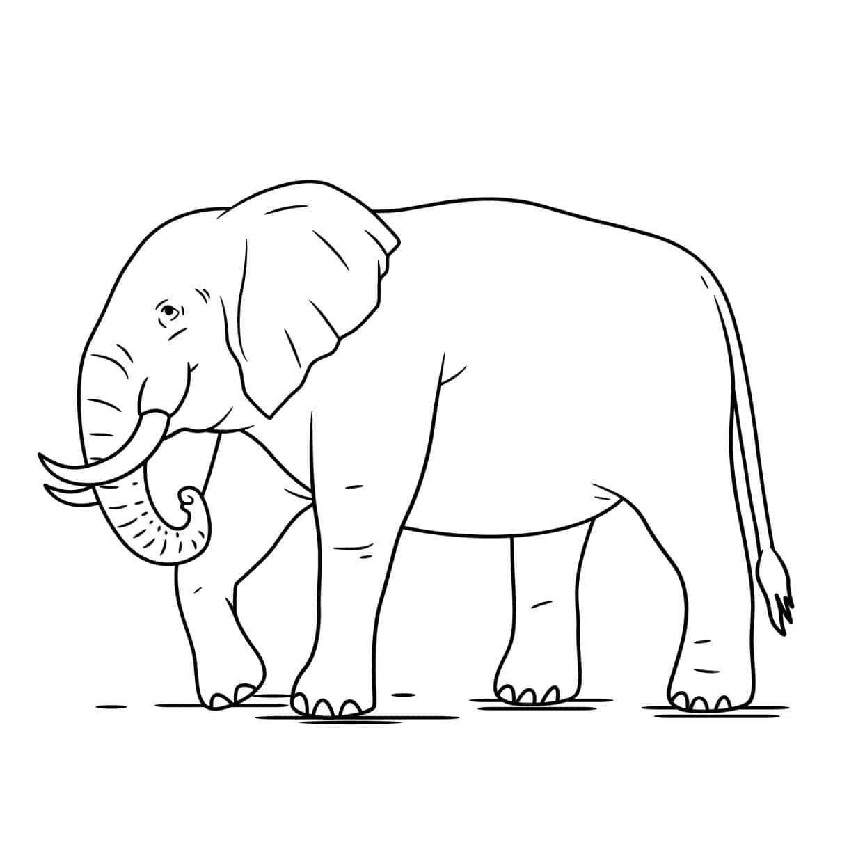 Elephant drawing