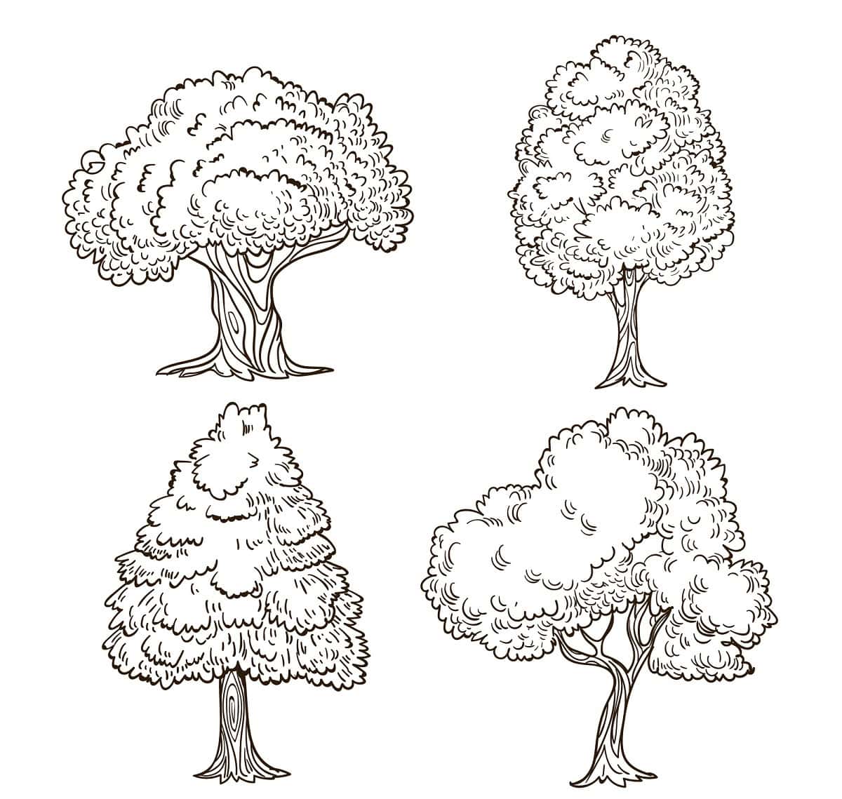 Tree drawing